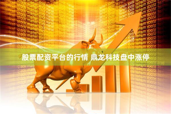 股票配资平台的行情 鼎龙科技盘中涨停